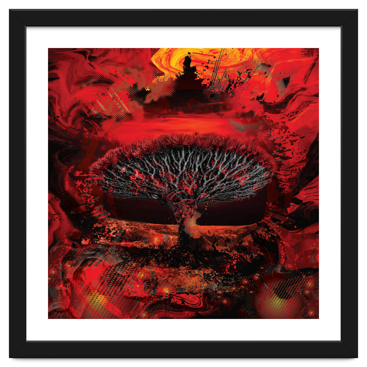 Socotra Dragon Blood tree