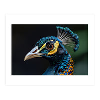 Close-up of a Peacock’s Head (Print Only)