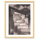 Evolving | Sepia thumbnail