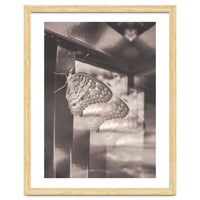 Evolving | Sepia
