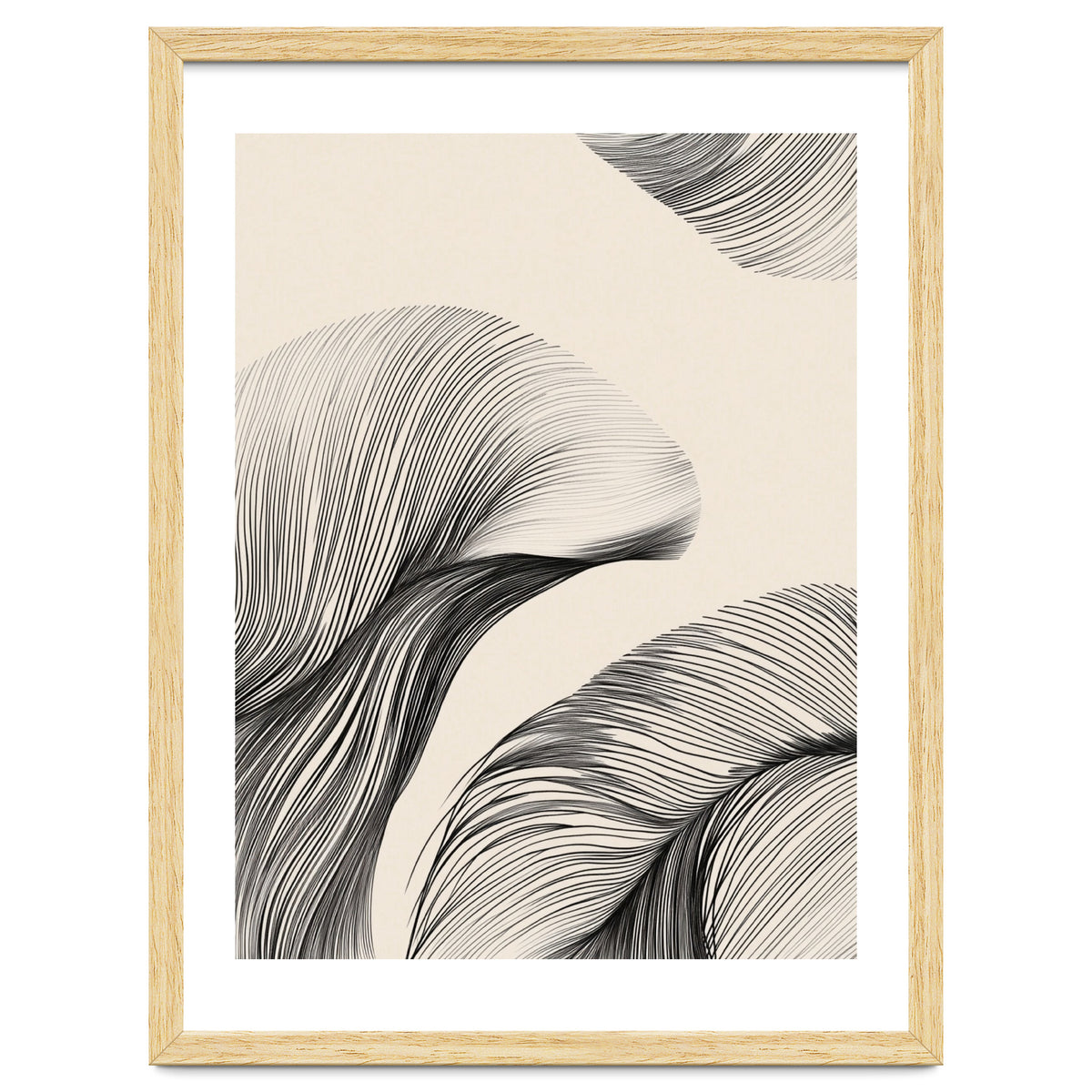 Black And White Flowing Lines Organic Shapes