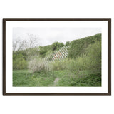 Green grass wall thumbnail