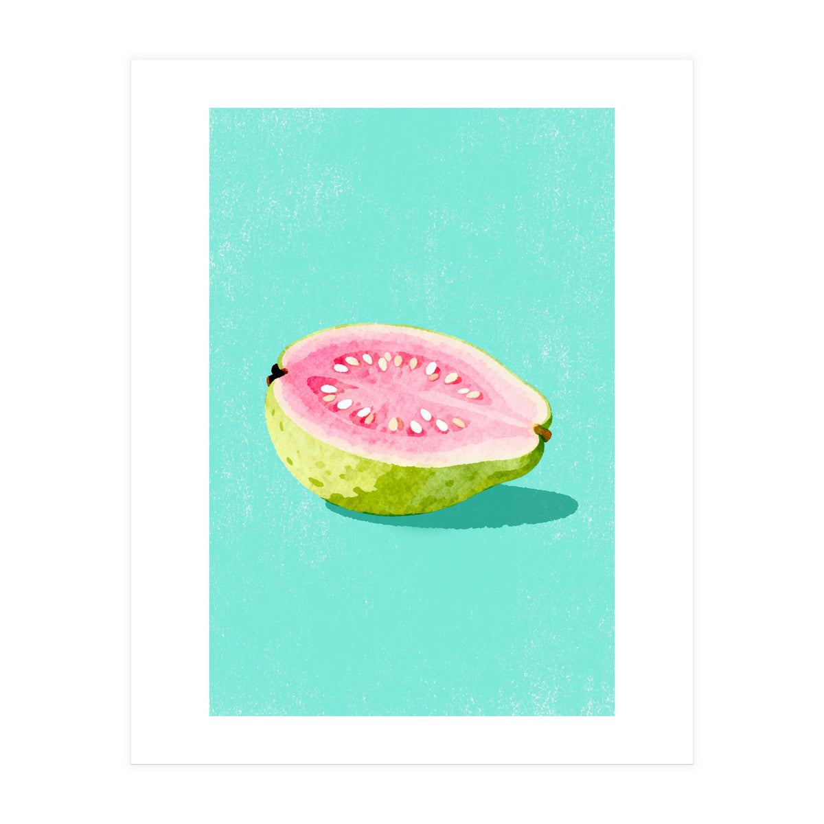 Guava Fruit Illustration (Print Only)