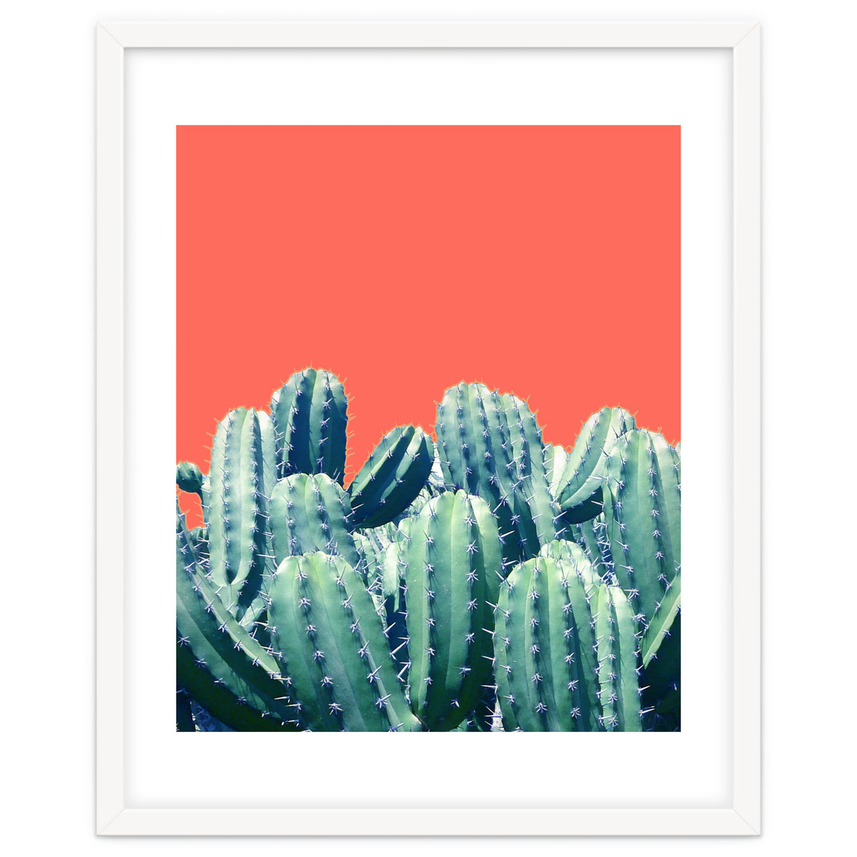 Cactus On Coral