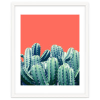 Cactus On Coral
