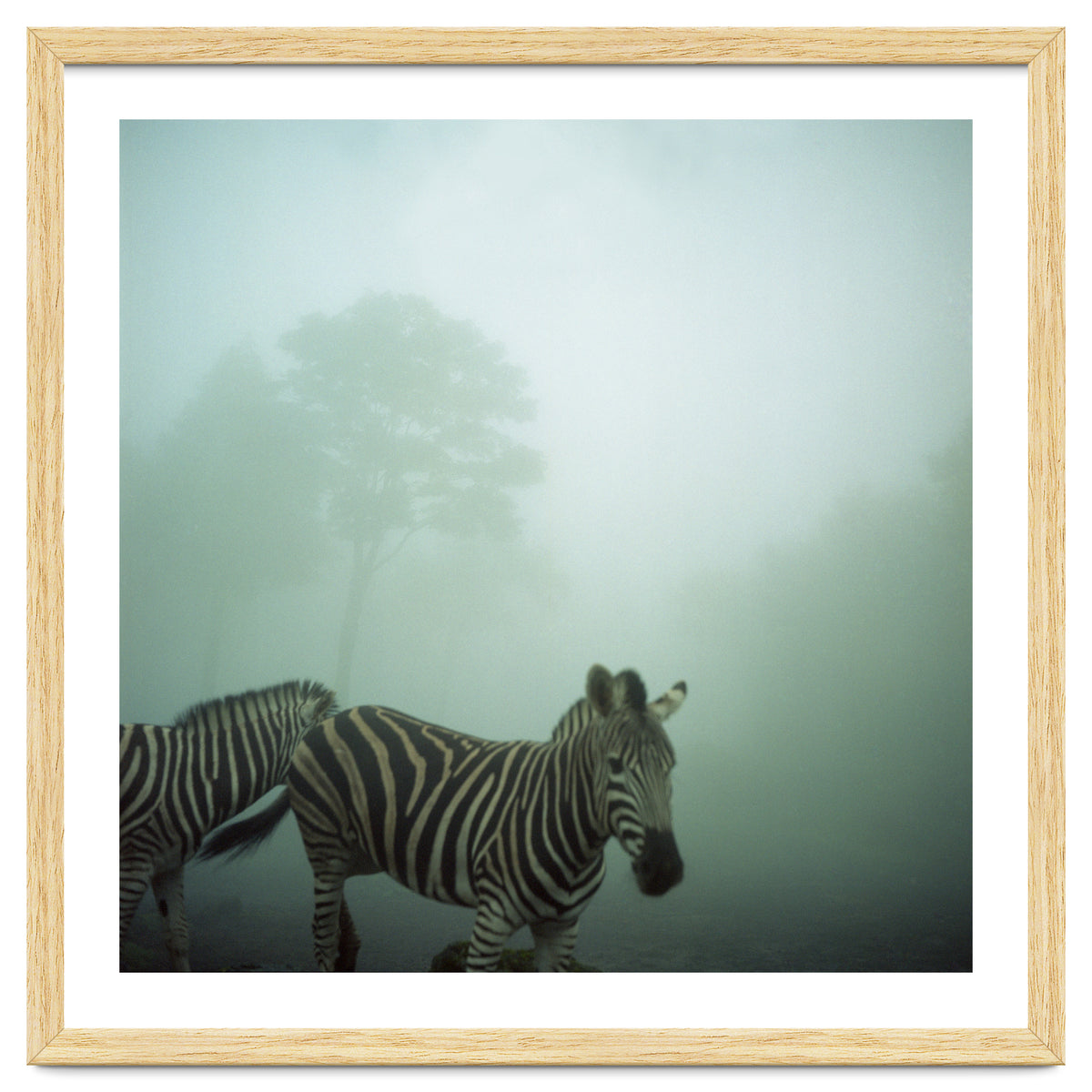 Silence of breath - 16