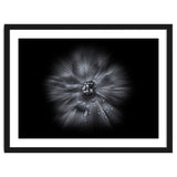 Backyard Flowers In Black And White No 66 Flow Version thumbnail