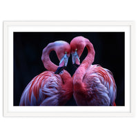 Two Pink Flamingos Forming A Heart Shape