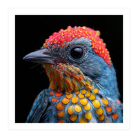 Close Up Of Colorful Bird With Water Droplets (Print Only)
