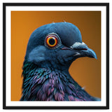 Close Up Of A Pigeon's Head And Neck thumbnail