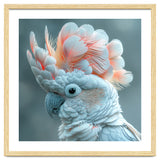 Close Up Of A White Cockatoo With Pink Crest thumbnail