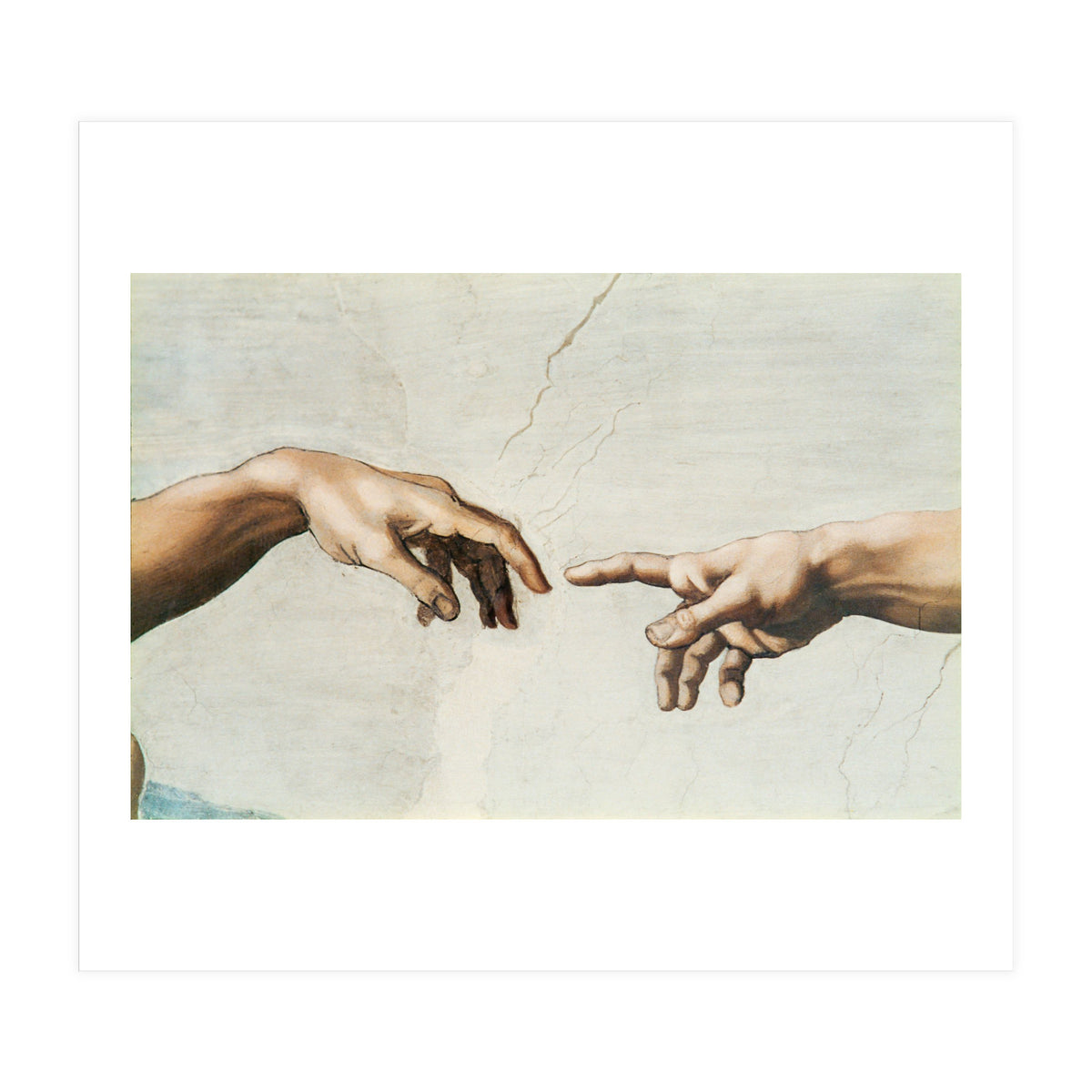 The Sistine Chapel; ceiling frescos after restoration. The creation of Adam. (Print Only)