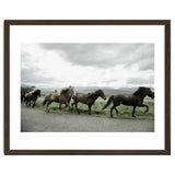 Running horses - Iceland thumbnail