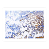 Coral Blooming (Print Only) thumbnail