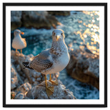 Seagull Standing On Rocks Near Water thumbnail
