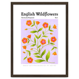 English Wildflowers | Scarlet Pimpernel thumbnail