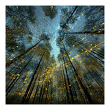 Enchanted Night Forest with Glowing Fireflies (Print Only) thumbnail