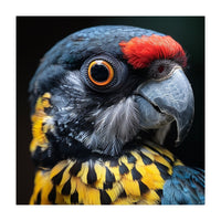 Close-up Portrait of a Vibrant Parrot (Print Only)