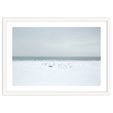 Seagulls in the Snow beach thumbnail
