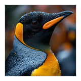 King Penguin With Water Droplets In Rain (Print Only) thumbnail