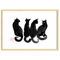 4 Black Cats