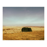 Dartmoor 2018 (Print Only) thumbnail