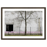 A tree in front of the wall thumbnail