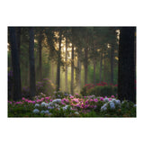Rhododendron forest (Print Only) thumbnail