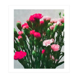 Watercolor Still Life (Print Only) thumbnail