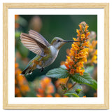 Hummingbird Feeding On Yellow Flowers Nectar thumbnail