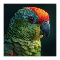 Close Up Colorful Parrot Bird Feather (Print Only)