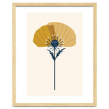Ochre Half Poppy thumbnail