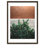 Plant + Copper thumbnail