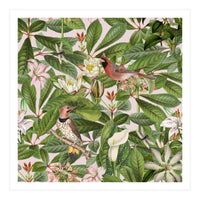 Tropical Bird Garden (Print Only)