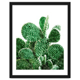 Velvet Cactus | Watercolor Botanical Plants | Minimal Boho Scandinavian Painting thumbnail