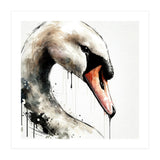 Watercolor Swan Portrait (Print Only) thumbnail