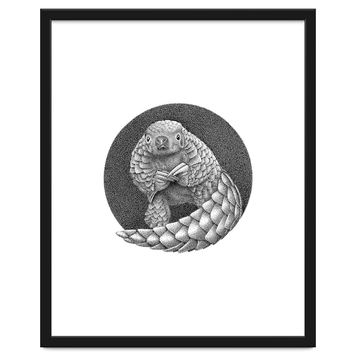 Pangolin no. 1