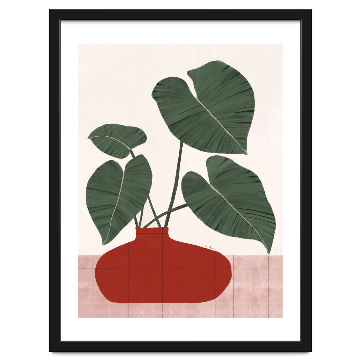 Philodendron Gloriosum plant