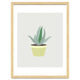 Succulent V1 thumbnail