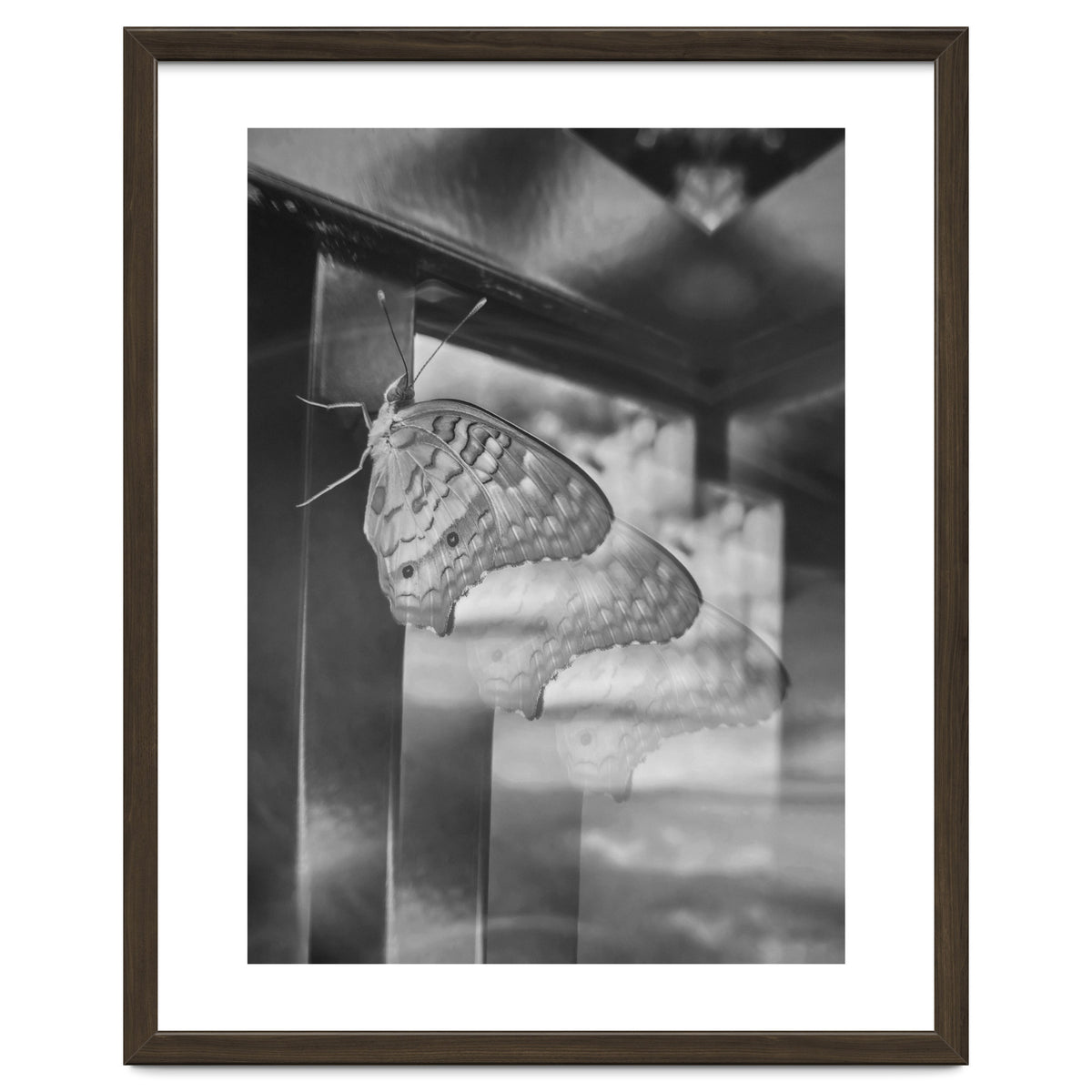 Evolving | Black & White