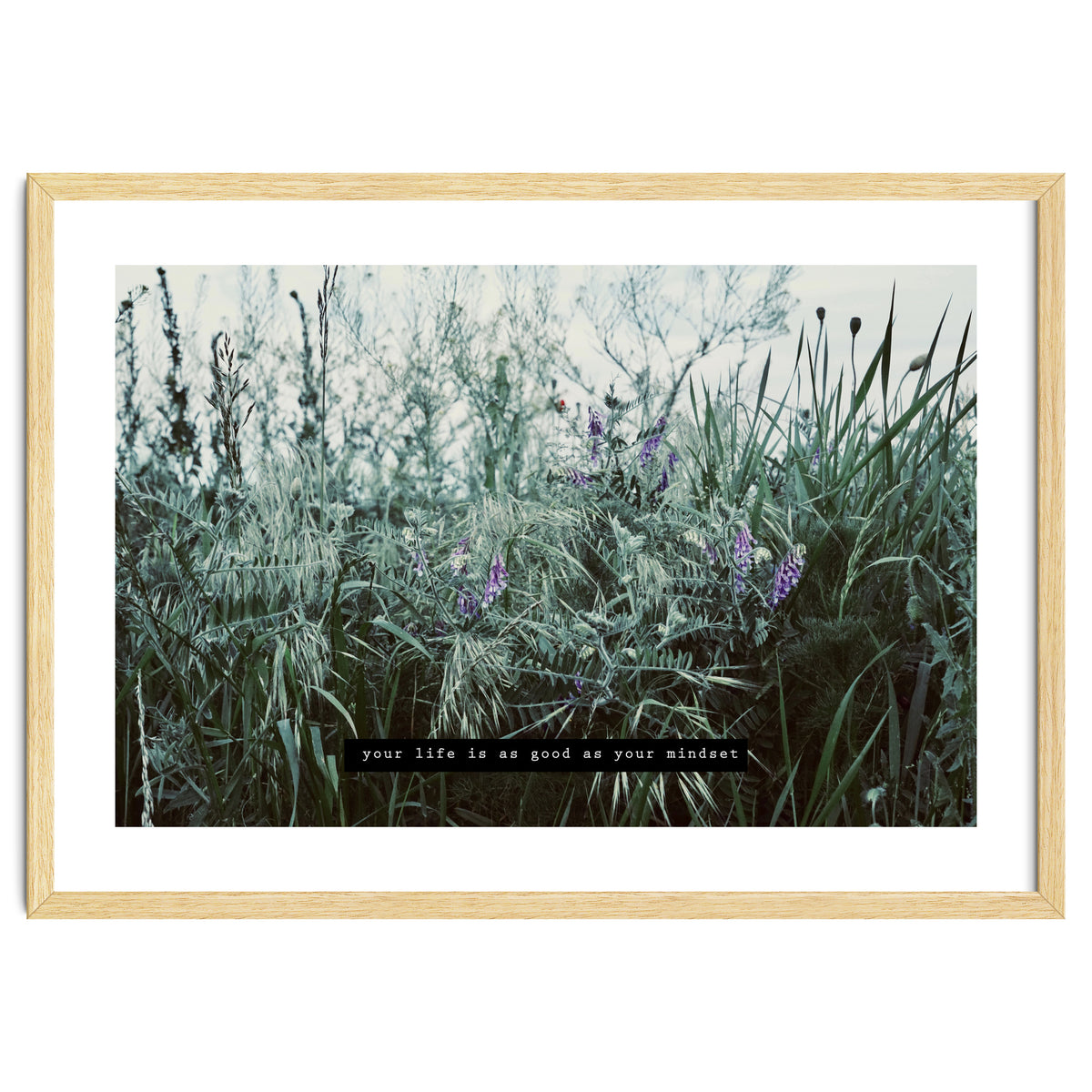 Photography - Summer Garden