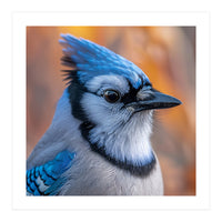 Blue Jay Bird Close Up Detailed Portrait (Print Only)