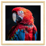 Scarlet Macaw Parrot Detailed Feather Close Up Portrait thumbnail