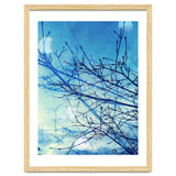 Winter thumbnail