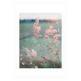 Dance With Air (Print Only) thumbnail