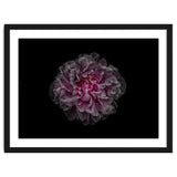 Backyard Flowers No 116 Color Version thumbnail