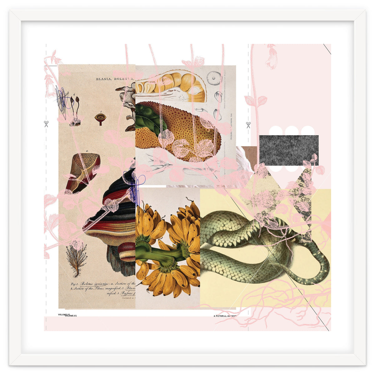 Abstract White Daydream Flower