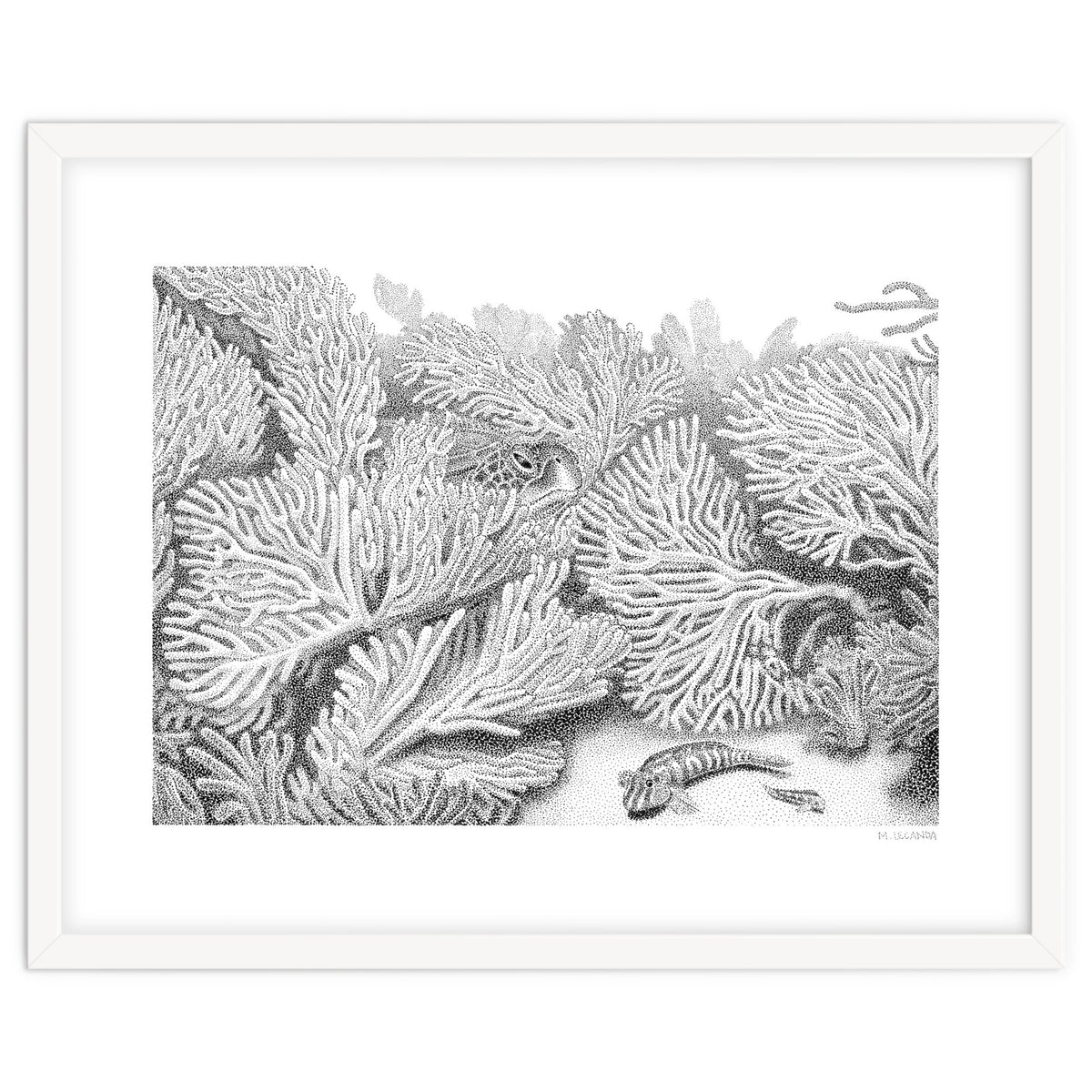 Hidden in plain sight