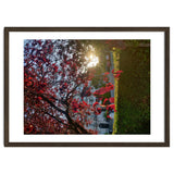 Autumn’s Embrace thumbnail