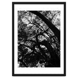 Tree Black Silhouette thumbnail